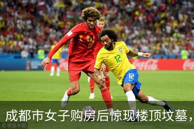 成都市女子购房后惊现楼顶坟墓，事件背后的疑虑与调查挑战